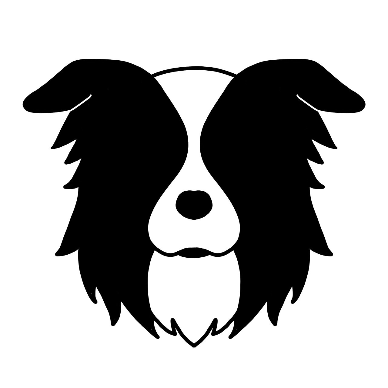 ボーダーコリー01