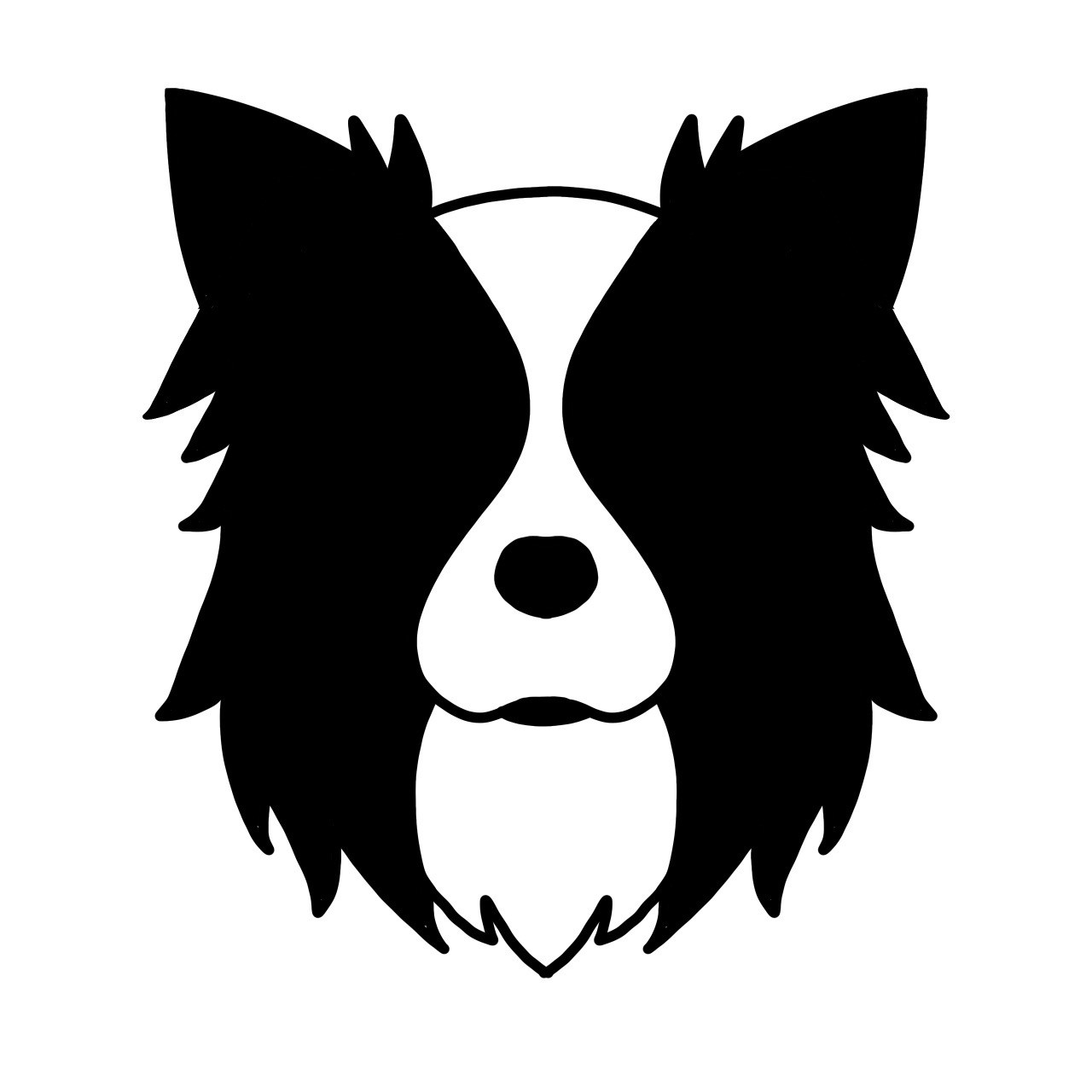 ボーダーコリー02