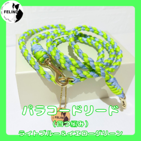 パラコードリード（四つ編み）ライトブルー&イエローグリーン