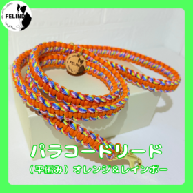 パラコードリード（平編み）オレンジ&レインボー