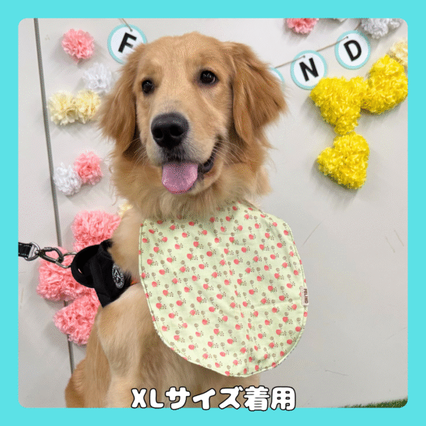 U字リバーシブルスタイ - 画像 (4)