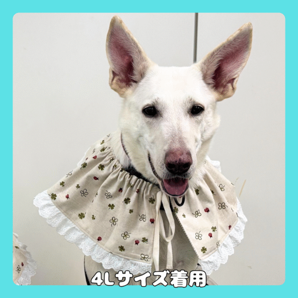 フリルケープ（てんとう虫&チェック） - 画像 (7)