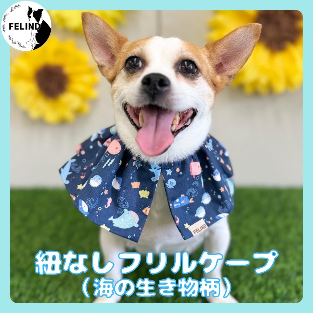 紐なしフリルケープ(海の生き物柄)