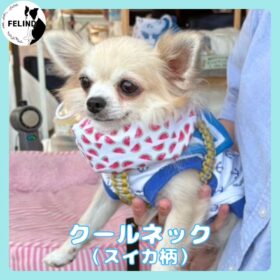 クールネック（スイカ柄）