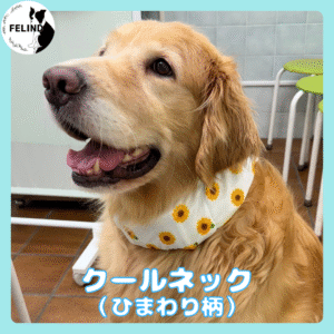 クールネック（ひまわり柄）