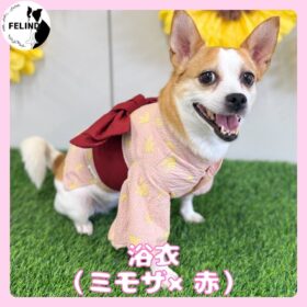 浴衣（ミモザ×赤）