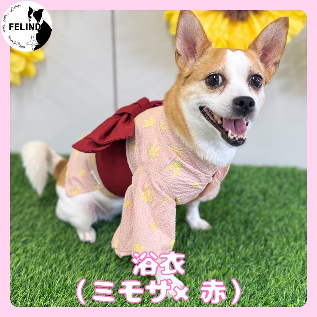 浴衣(ミモザ×赤)