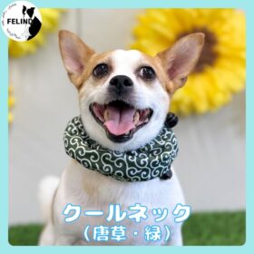 クールネック（唐草・緑）