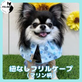 紐なしフリルケープ（マリン柄）