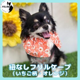 紐なしフリルケープ（いちご柄・オレンジ）