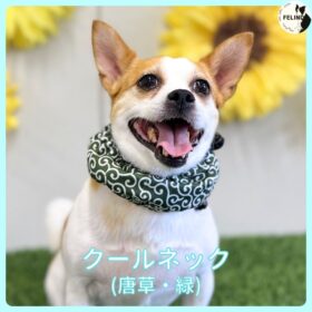 クールネック（唐草・緑）