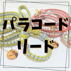 05_パラコードリード