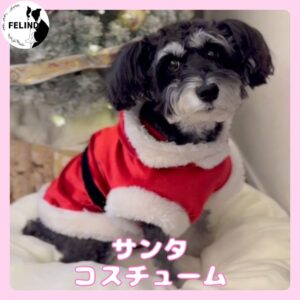 サンタコスチューム