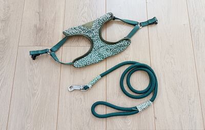 愛犬のハーネスとリードをセットで揃える利点