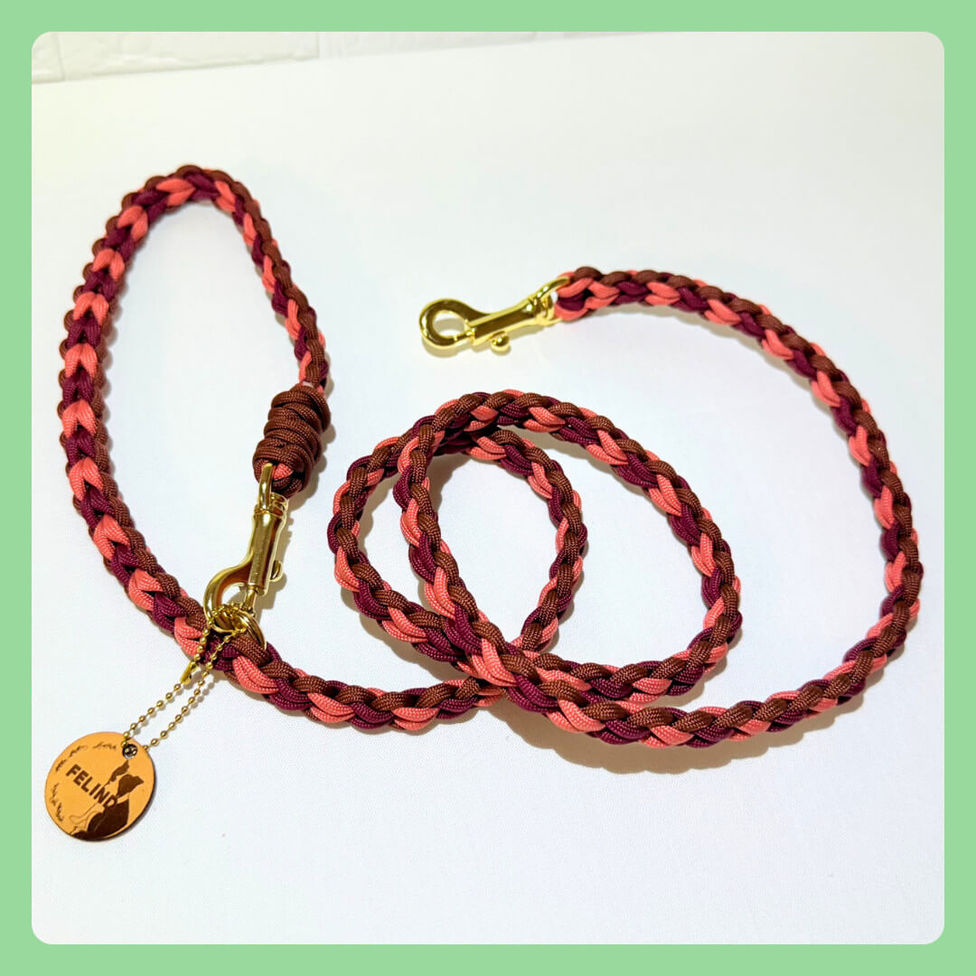 パラコードの犬用リードが人気を集める理由