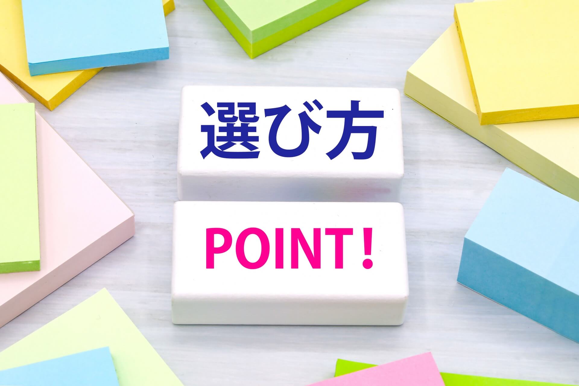 犬用のハーネスとリードの選び方