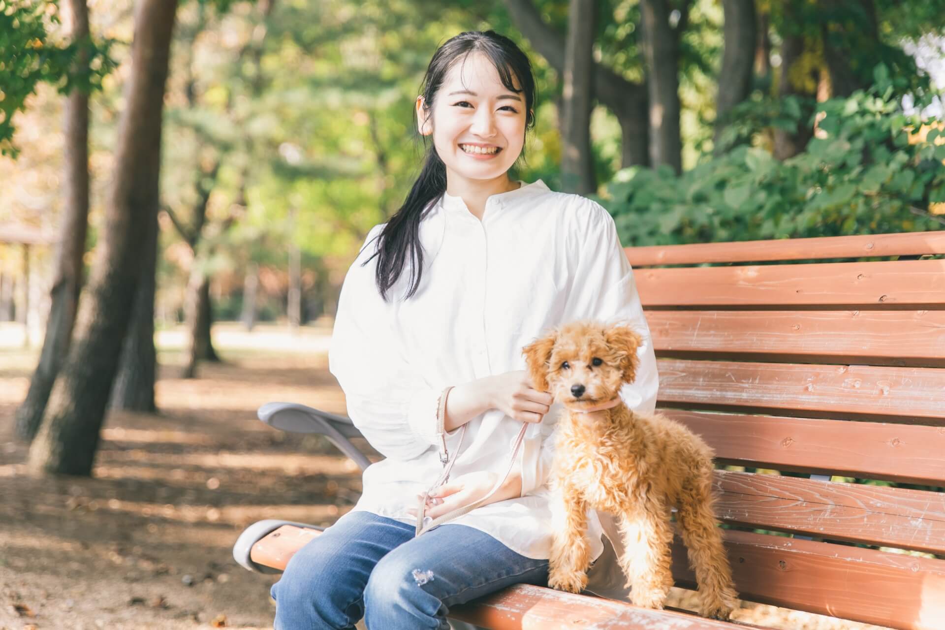 愛犬の個性が光るオーダーメイドの犬用首輪の魅力