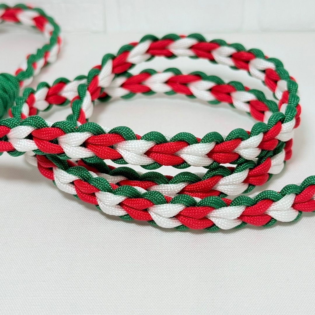 クリスマスカラーリードB