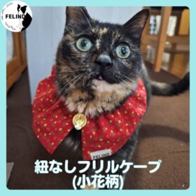 紐なしフリルケープ（小花柄）