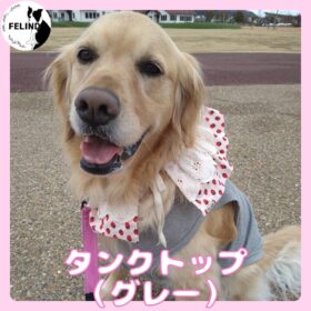 タンクトップ（グレー）