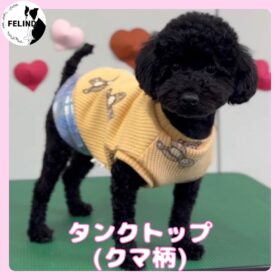 タックトップ（クマ柄）