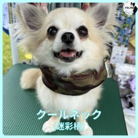 クールネック（迷彩柄）