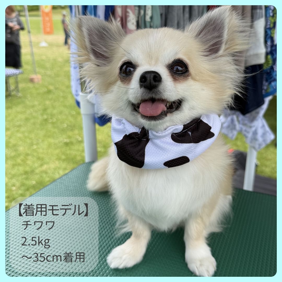 クールネック(ウシ柄) - 画像 (6)
