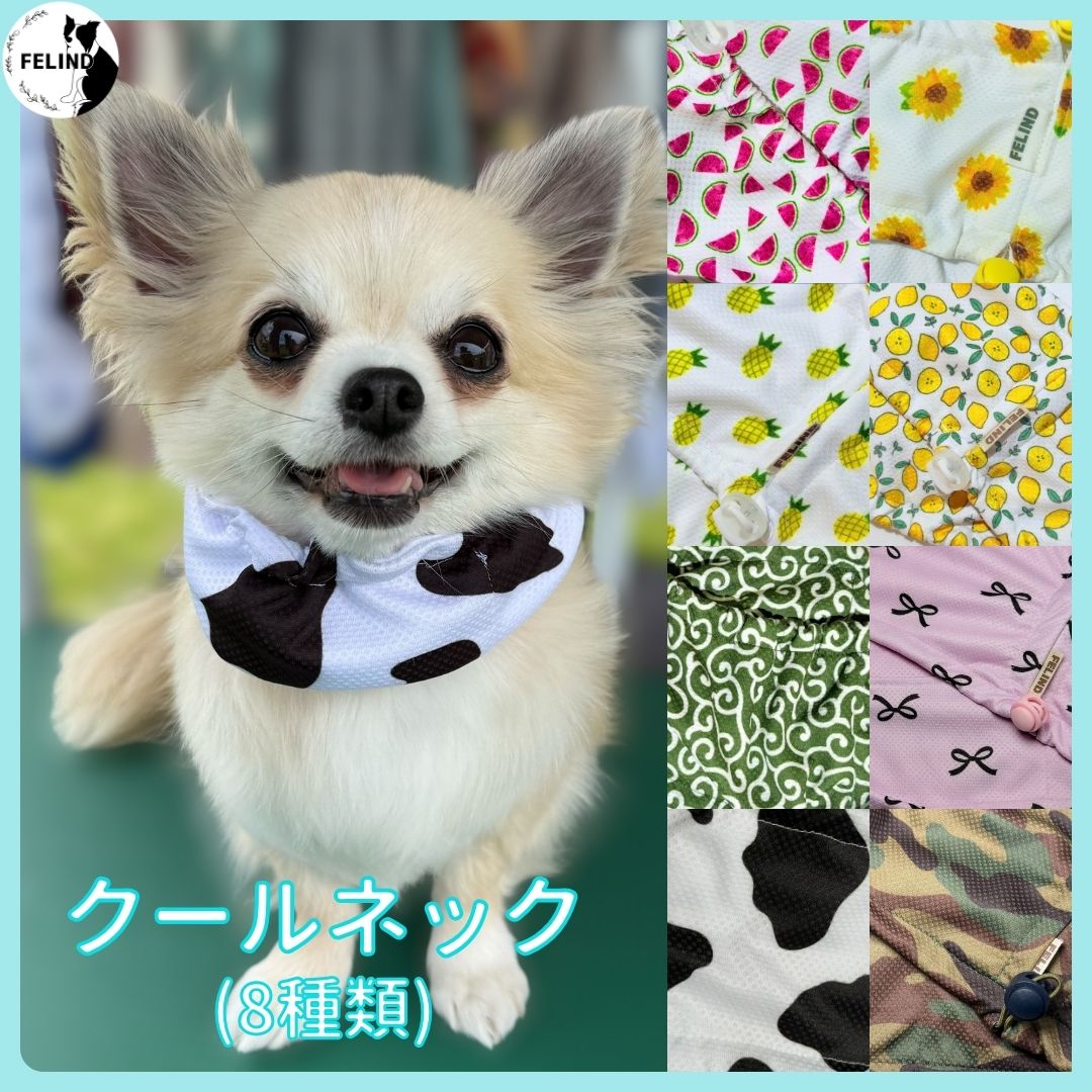 接触冷感クールネック